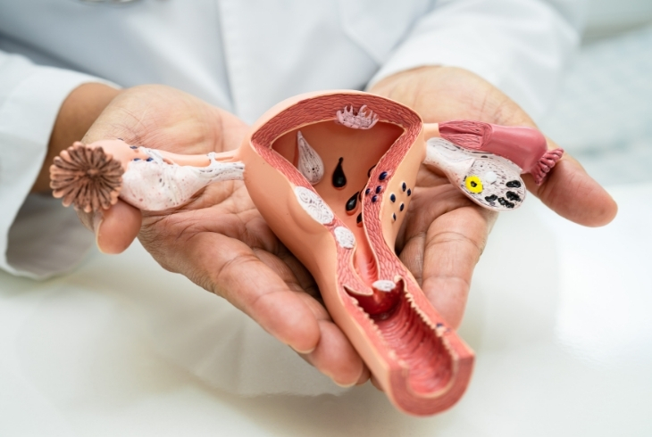 New Life Speciality Hospital